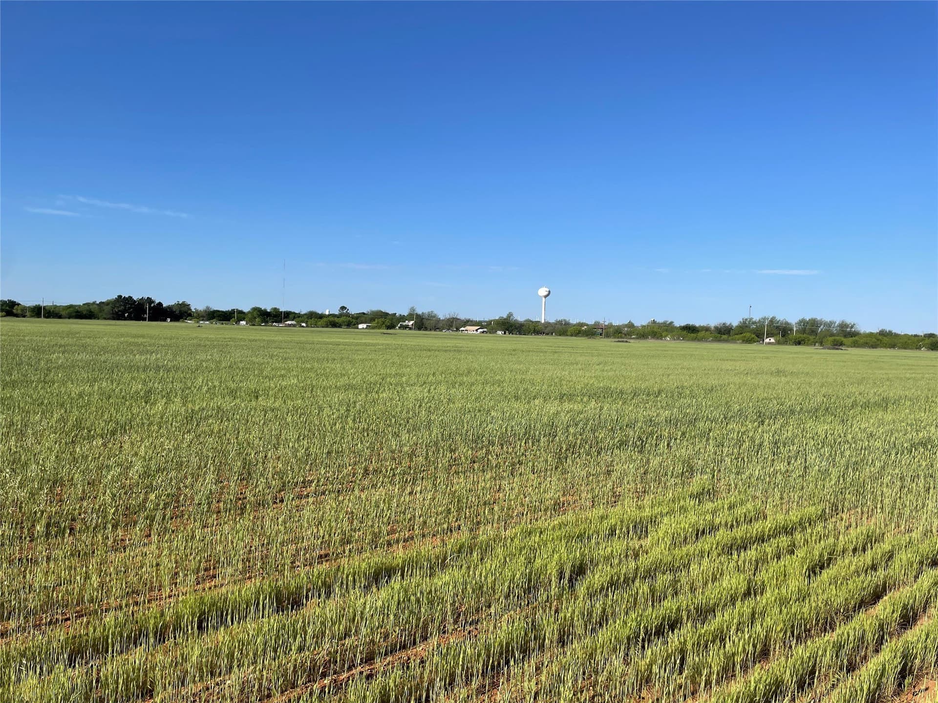 48.33 acres in Taylor County - photo 8