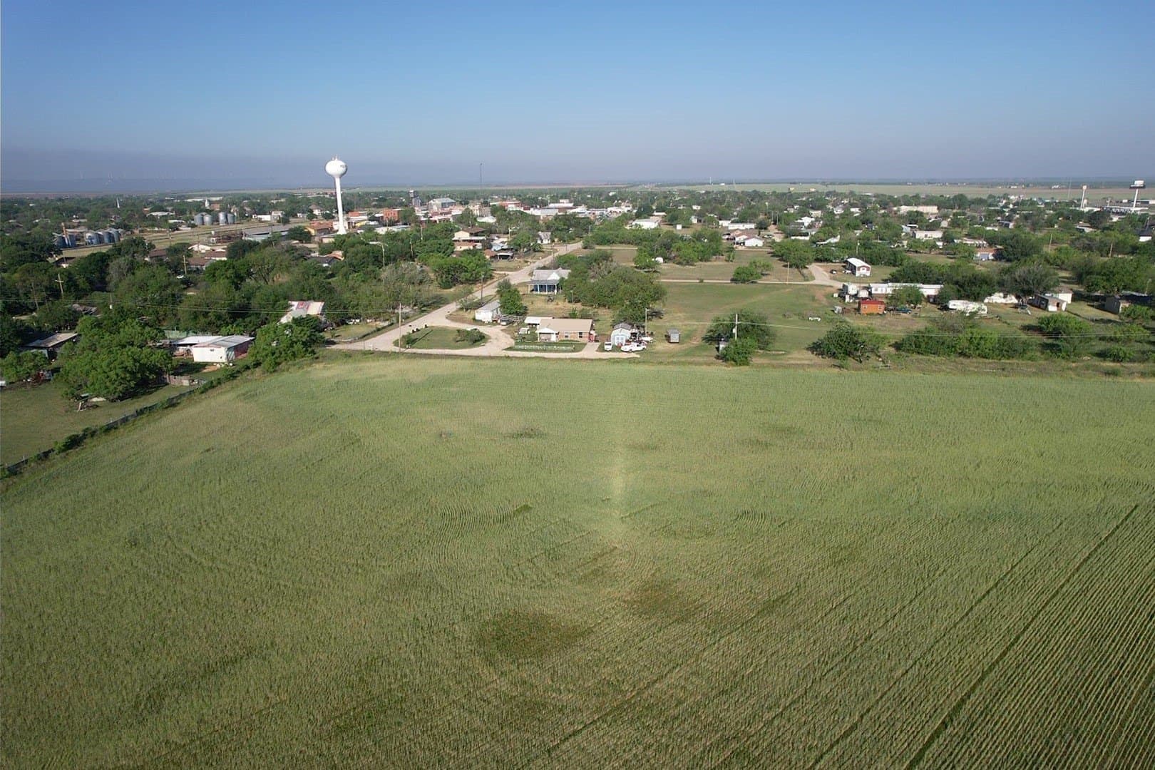 48.33 acres in Taylor County - photo 3