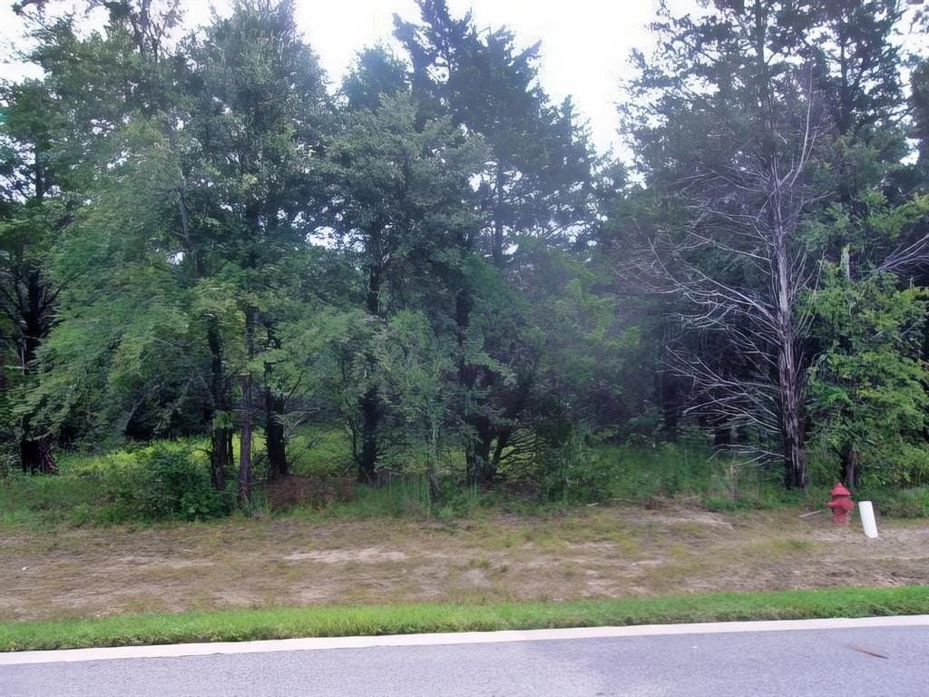 0.22 acres in Grayson County featured view