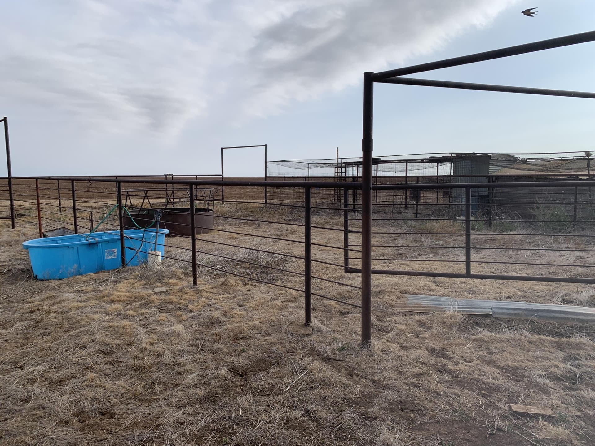 10 acres in Crosby County - photo 17