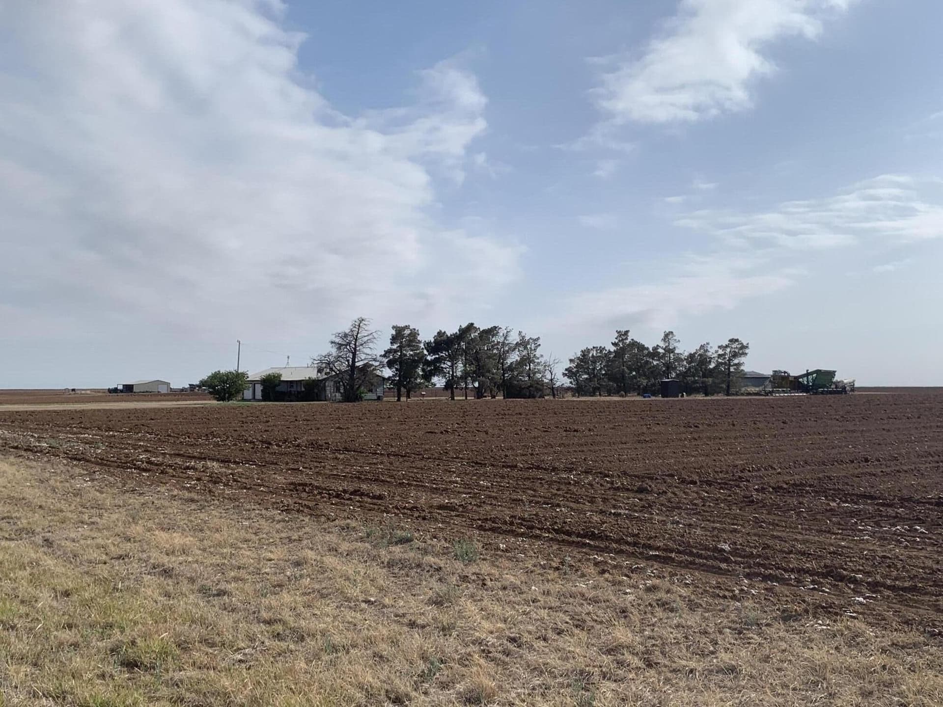 10 acres in Crosby County gallery image 4