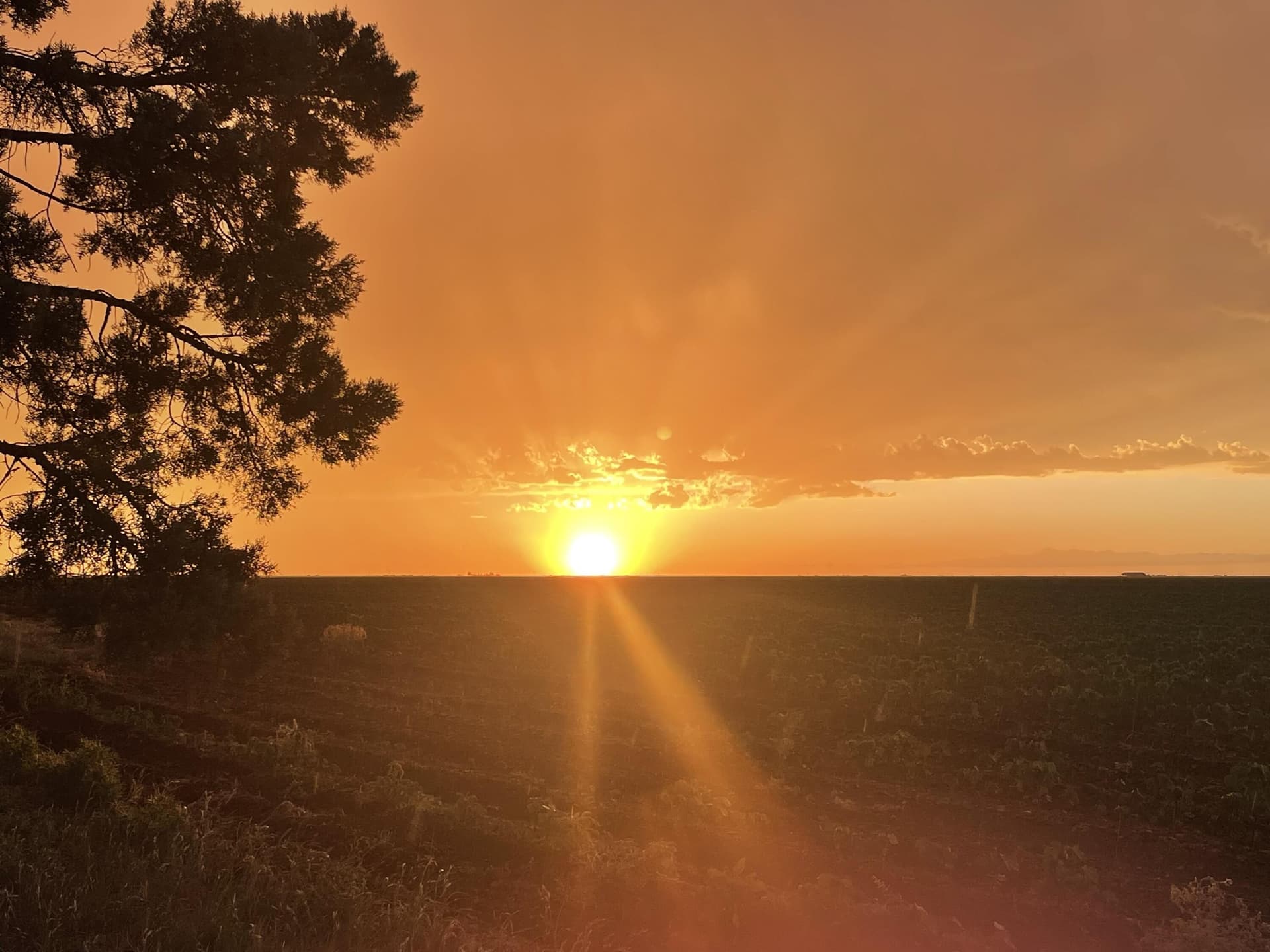 10 acres in Crosby County - photo 28