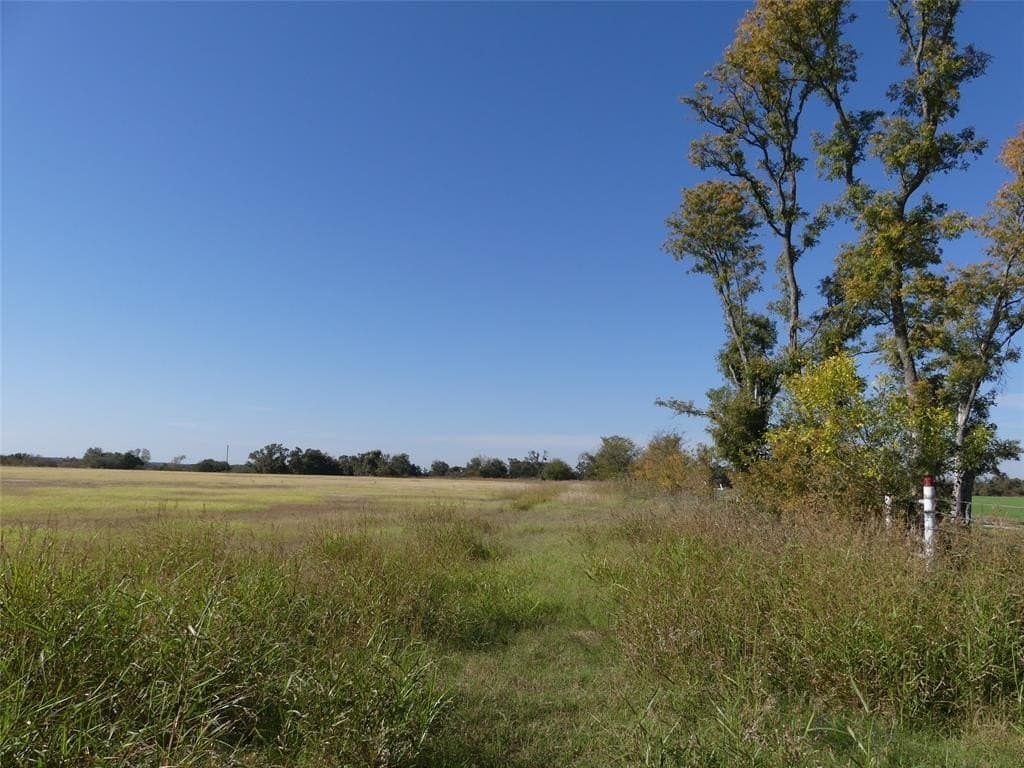 20 acres in Montague County featured view