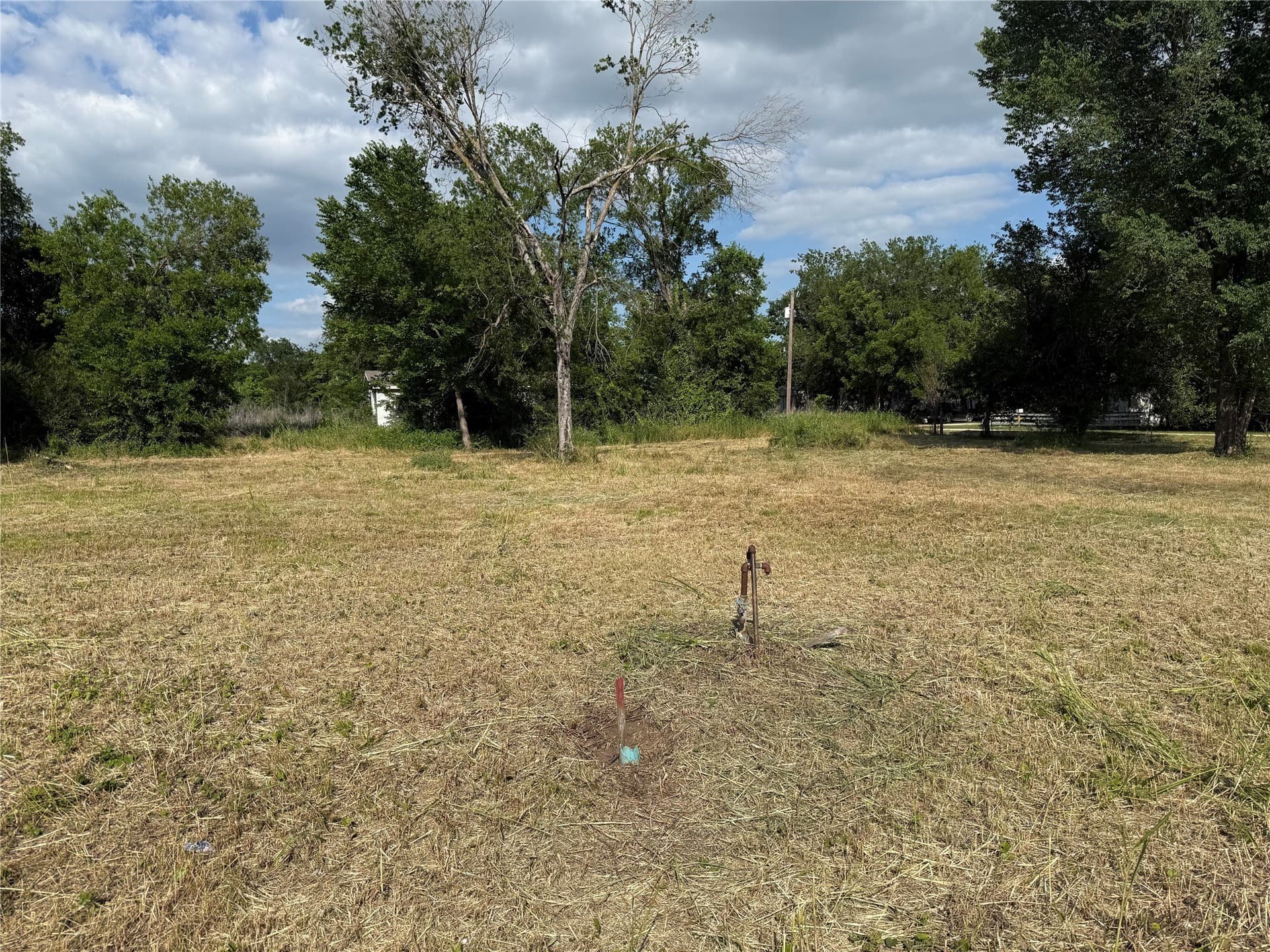 0.32 acres in Freestone County - photo 4