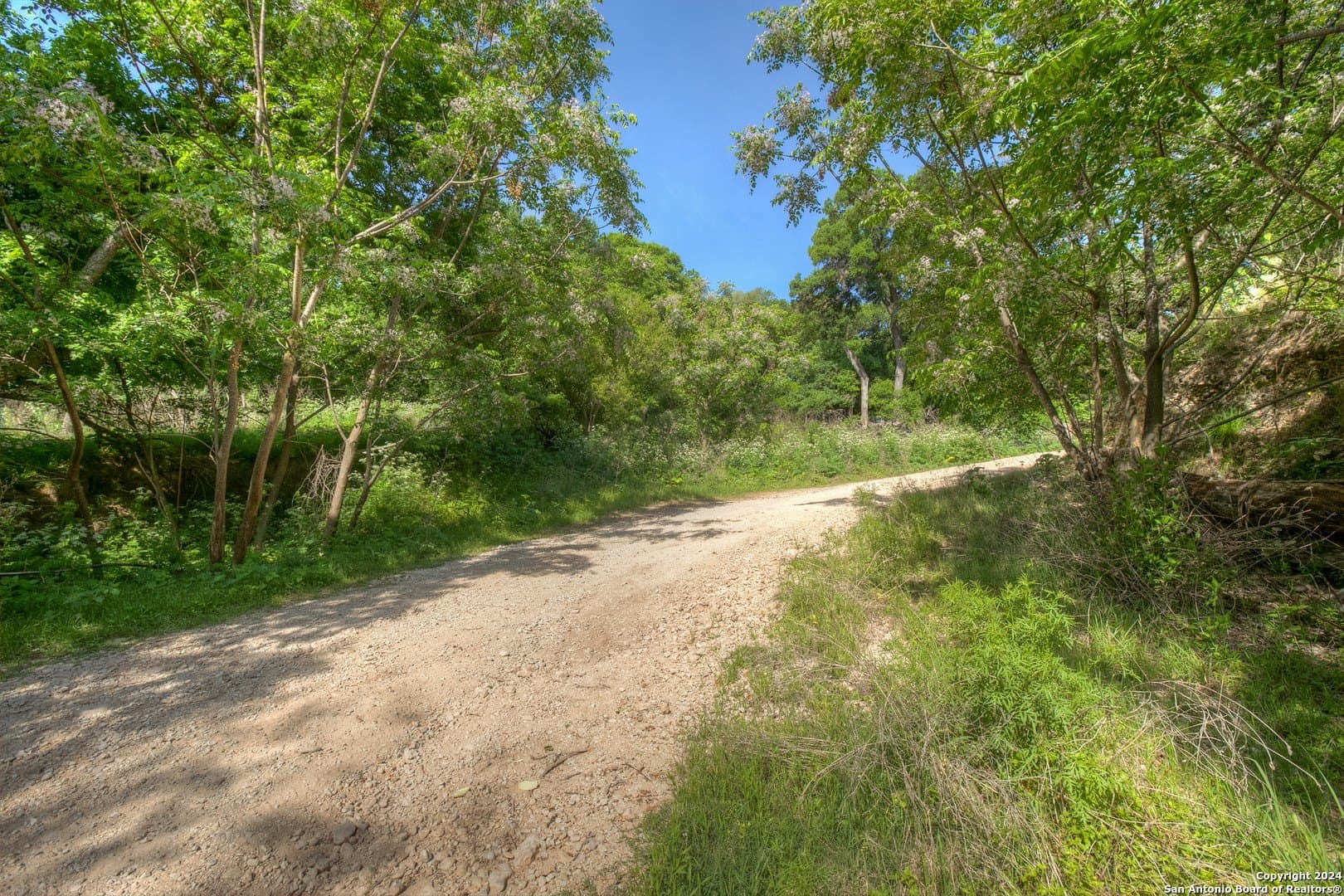 1 acres in Comal County - photo 23