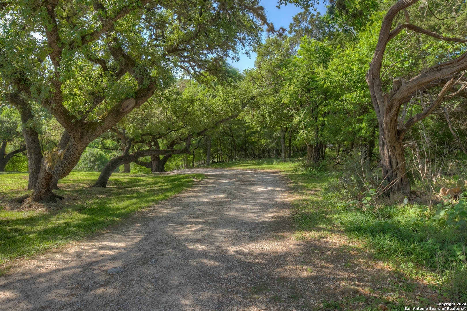 1 acres in Comal County - photo 16
