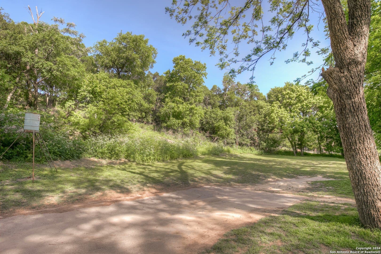 1 acres in Comal County - photo 10