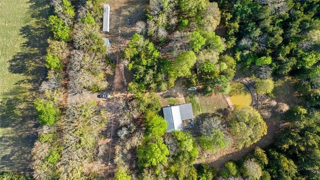 14.69 acres in Lamar County gallery image 2