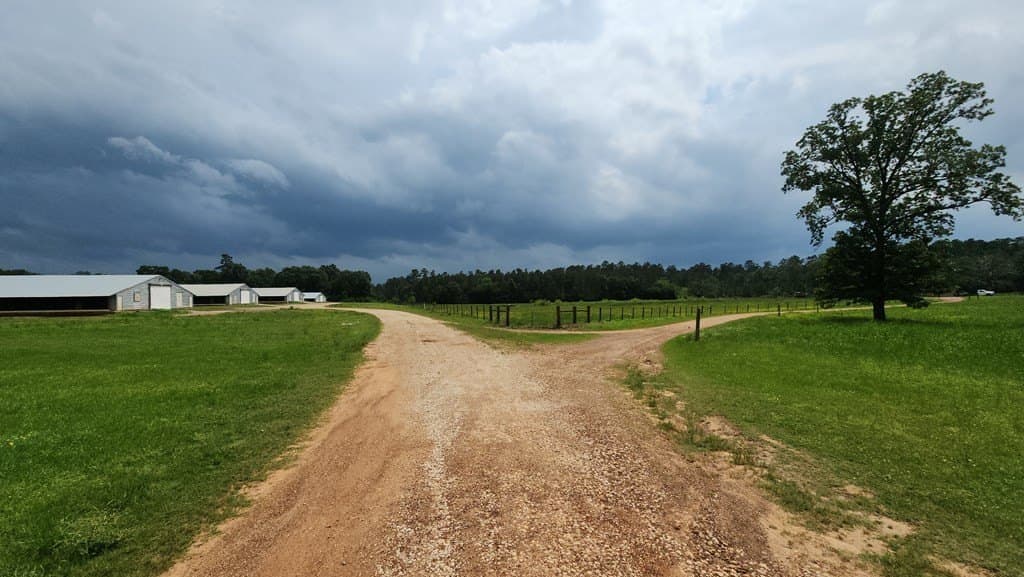 32.92 acres in Texas County gallery image 4