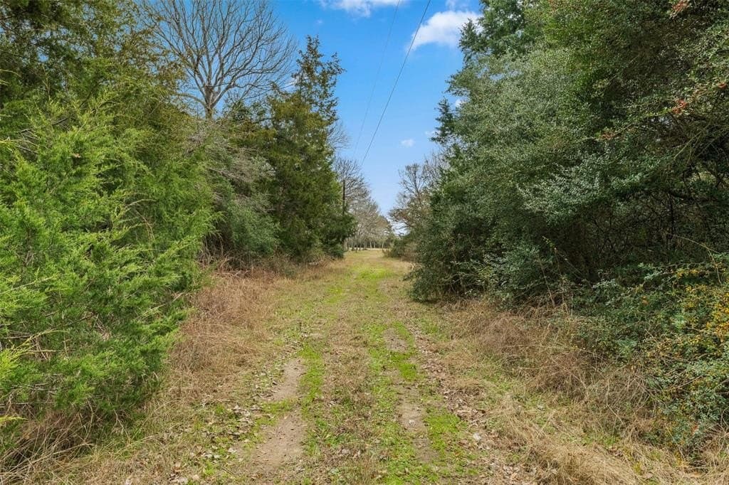 22.32 acres in Brazos County gallery image 4