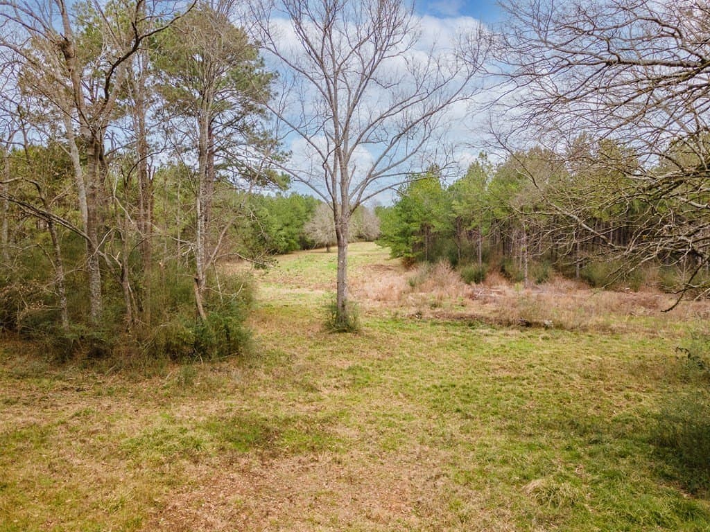 111.55 acres in Texas County gallery image 3