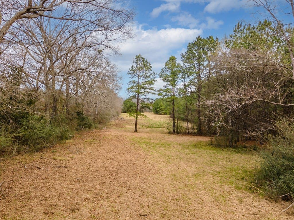 111.55 acres in Texas County gallery image 4