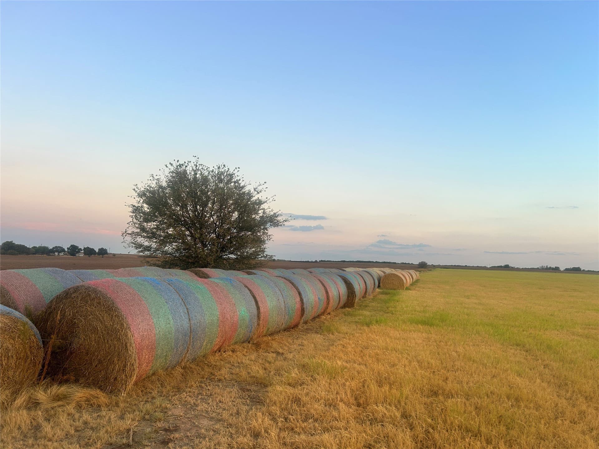 70.01 acres in Archer County - photo 24