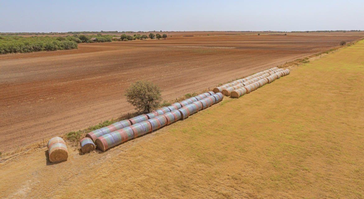70.01 acres in Archer County - photo 22