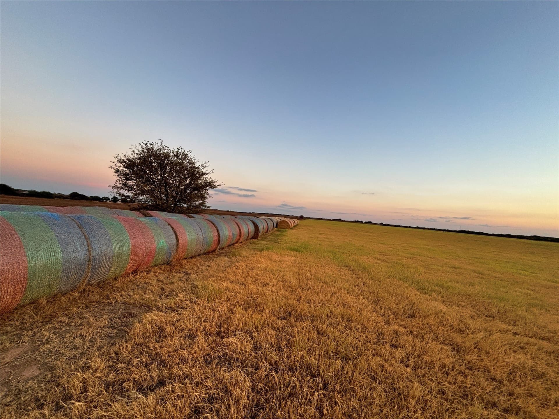 70.01 acres in Archer County - photo 28