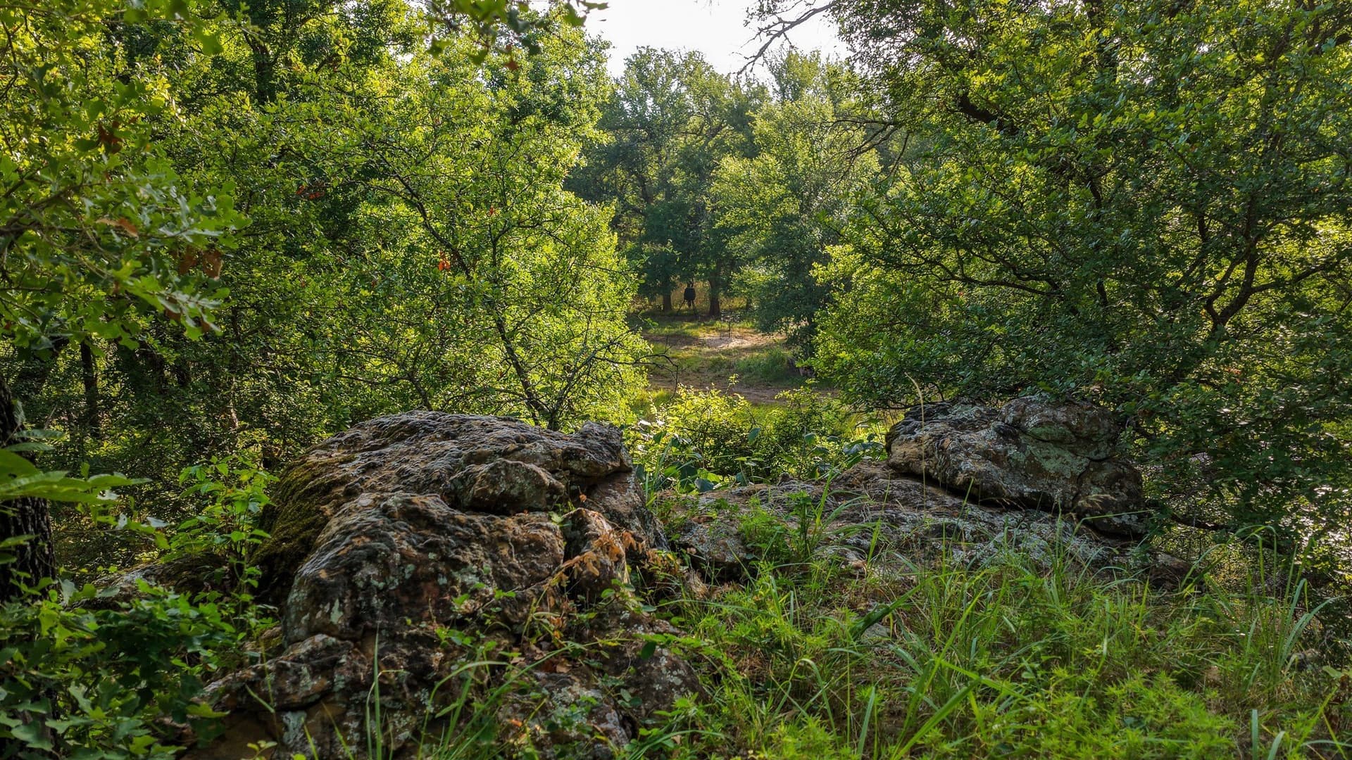 17.19 acres in Jack County - photo 22
