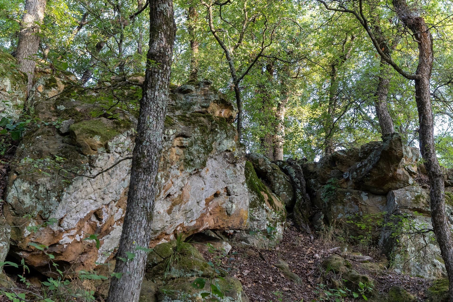 17.19 acres in Jack County - photo 30