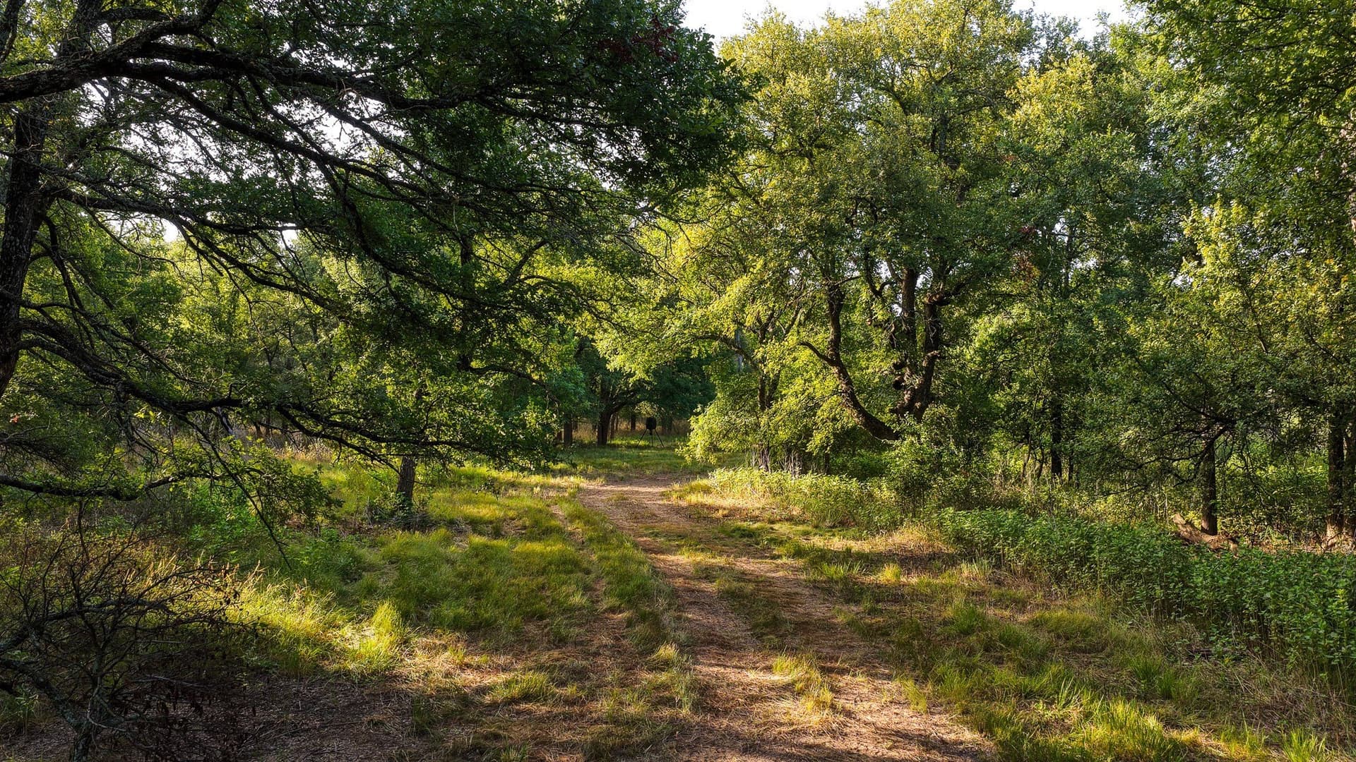 17.19 acres in Jack County - photo 24