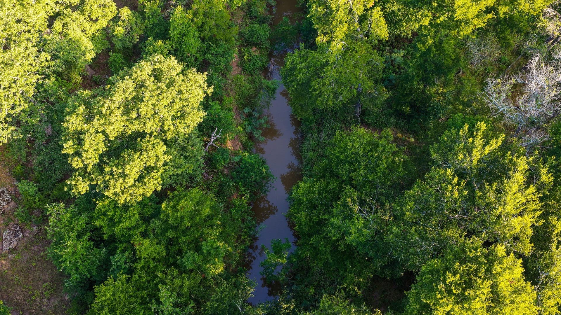 17.19 acres in Jack County - photo 26