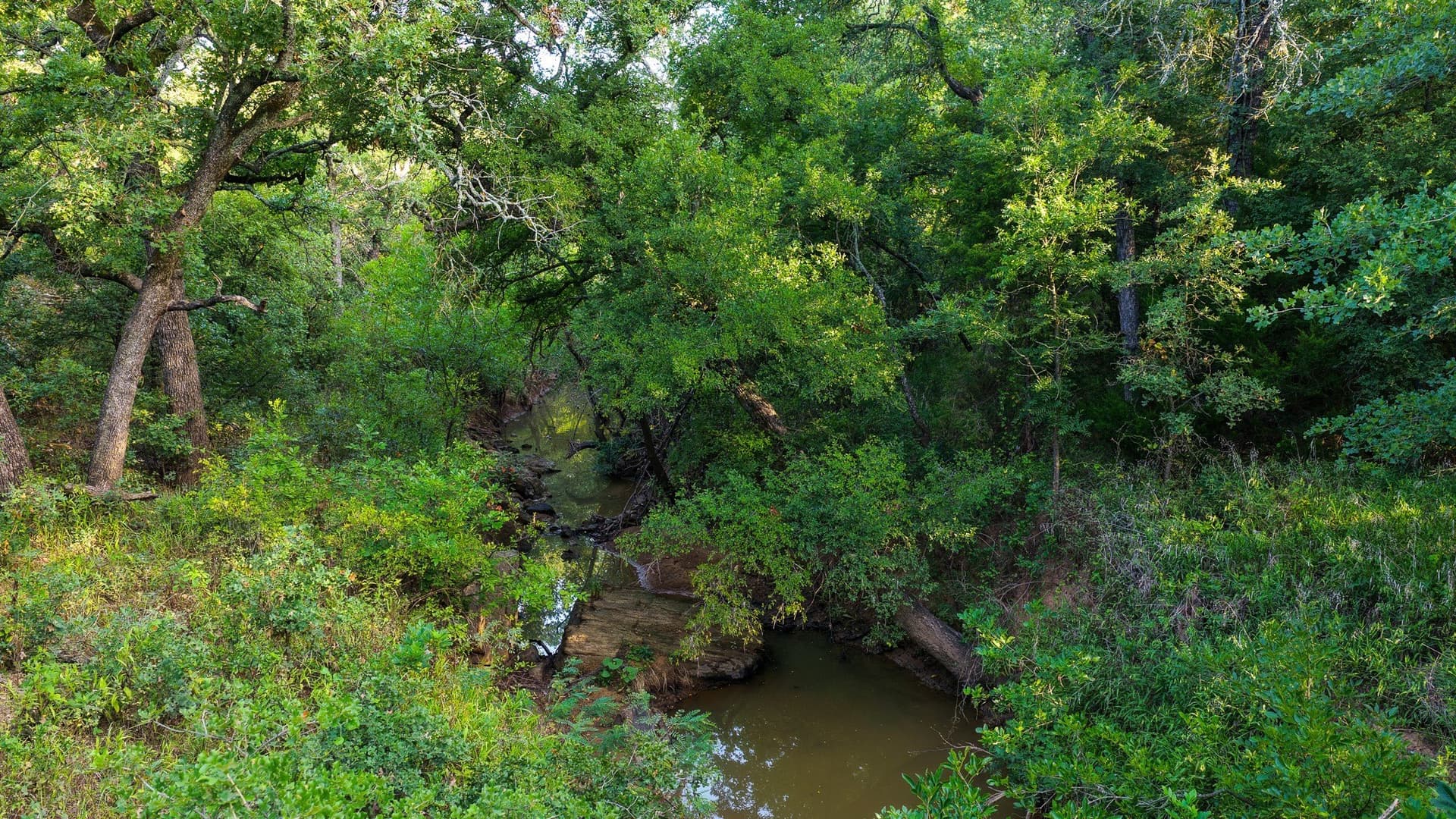 17.19 acres in Jack County - photo 27