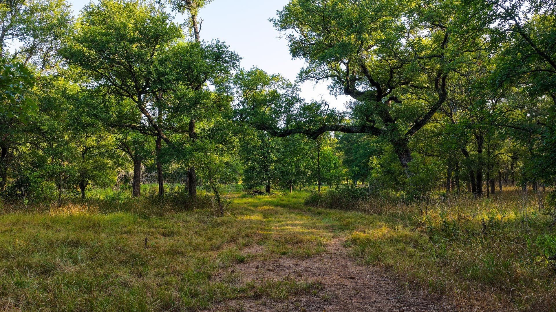17.19 acres in Jack County - photo 25