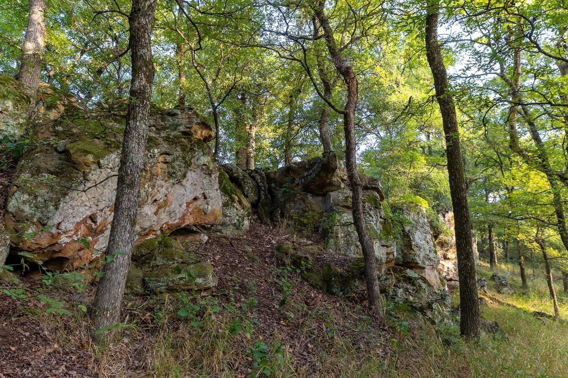 17.19 acres in Jack County - photo 29