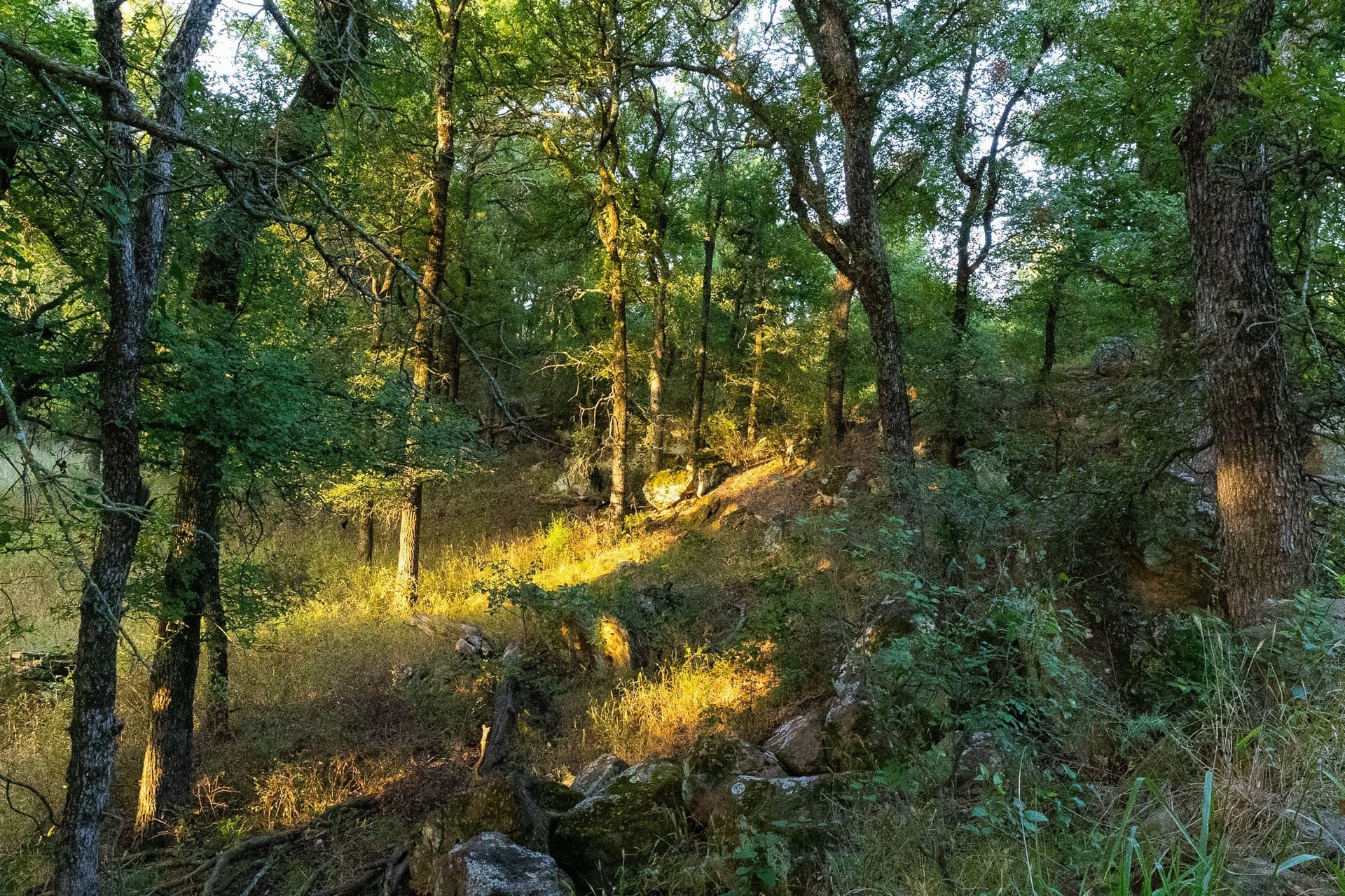 17.19 acres in Jack County - photo 39