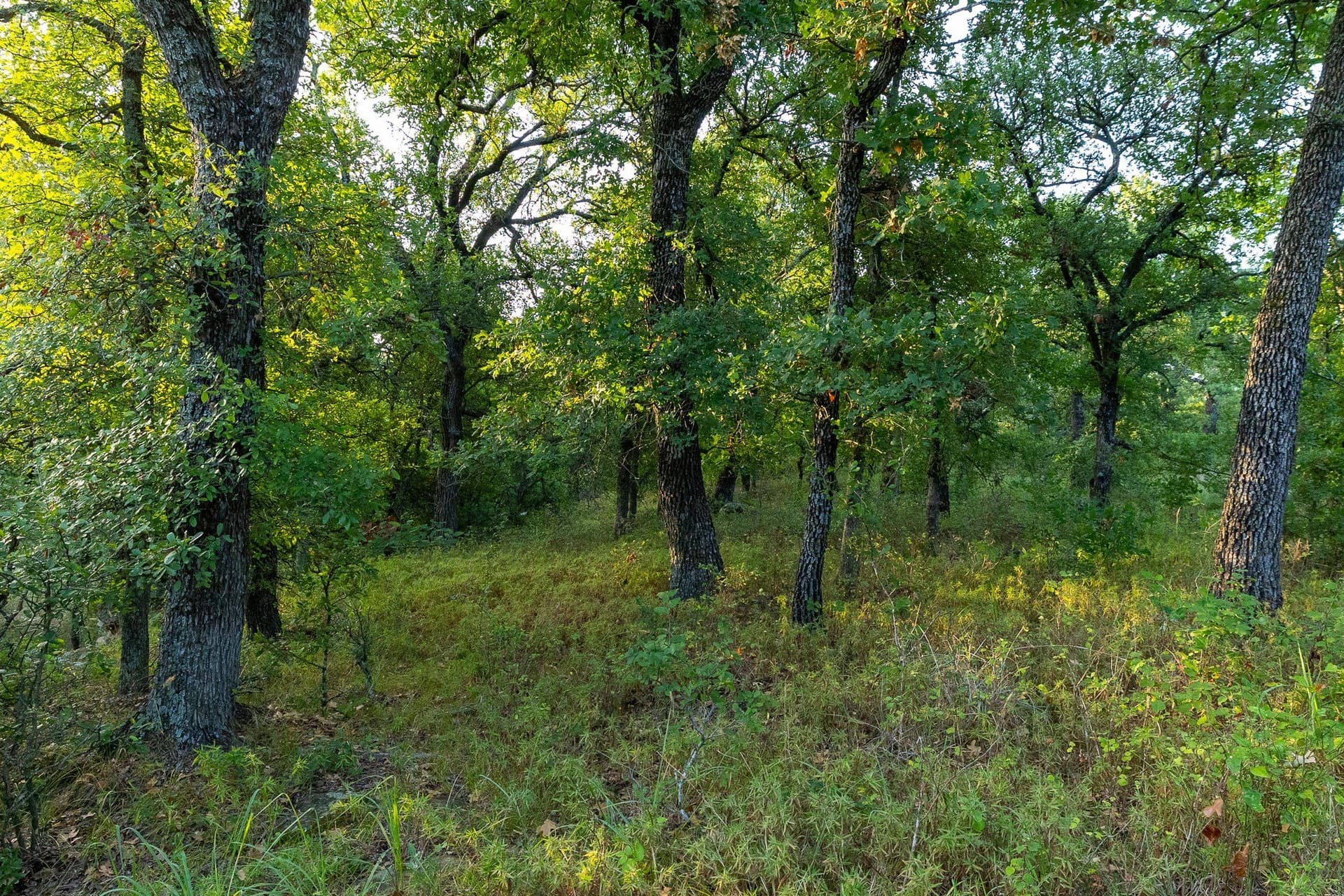 17.19 acres in Jack County - photo 38
