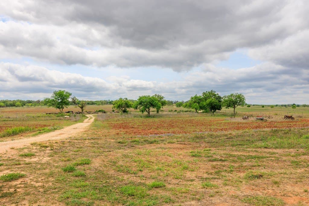 25.08 acres in Gillespie County - photo 22