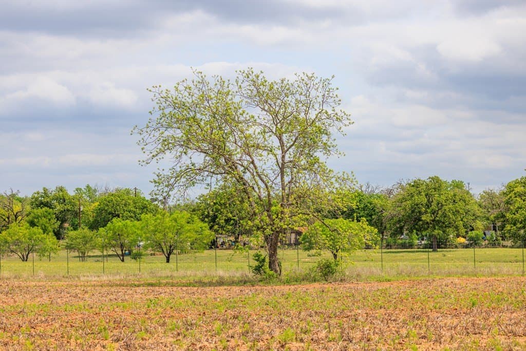 25.08 acres in Gillespie County - photo 38