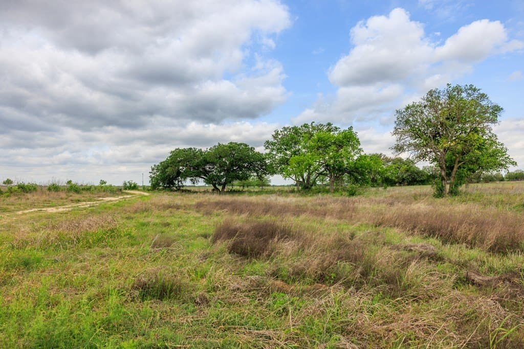 25.08 acres in Gillespie County - photo 29