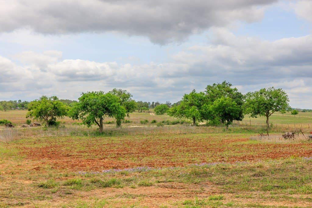 25.08 acres in Gillespie County - photo 23