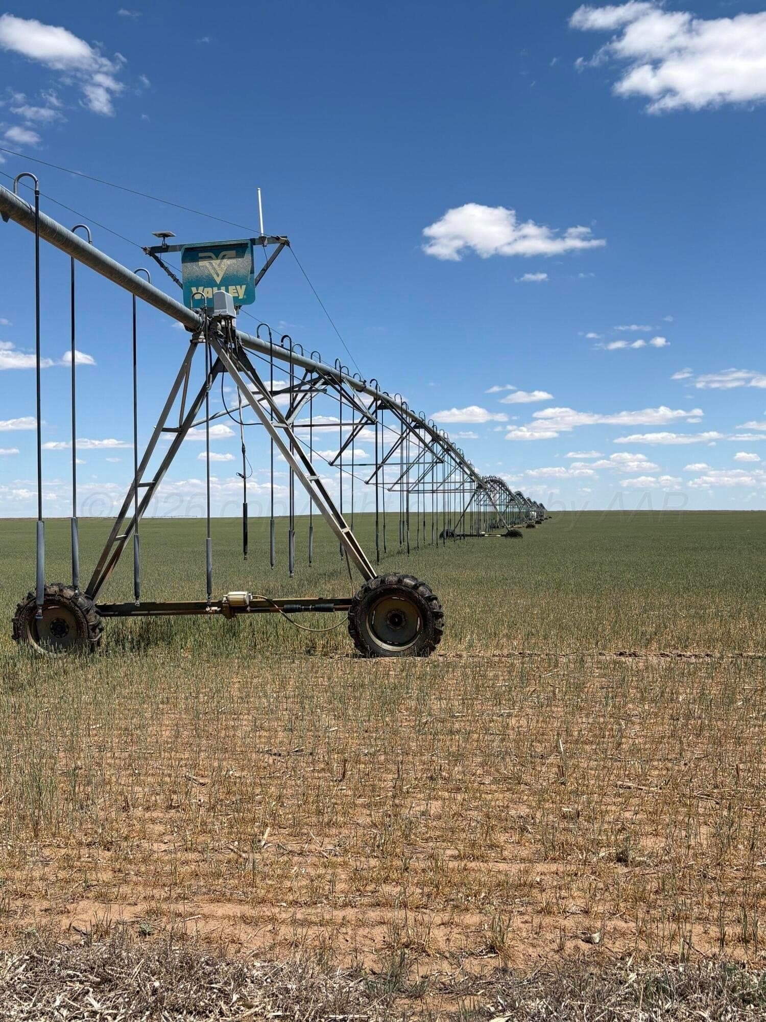 3,200 acres in Dallam County
