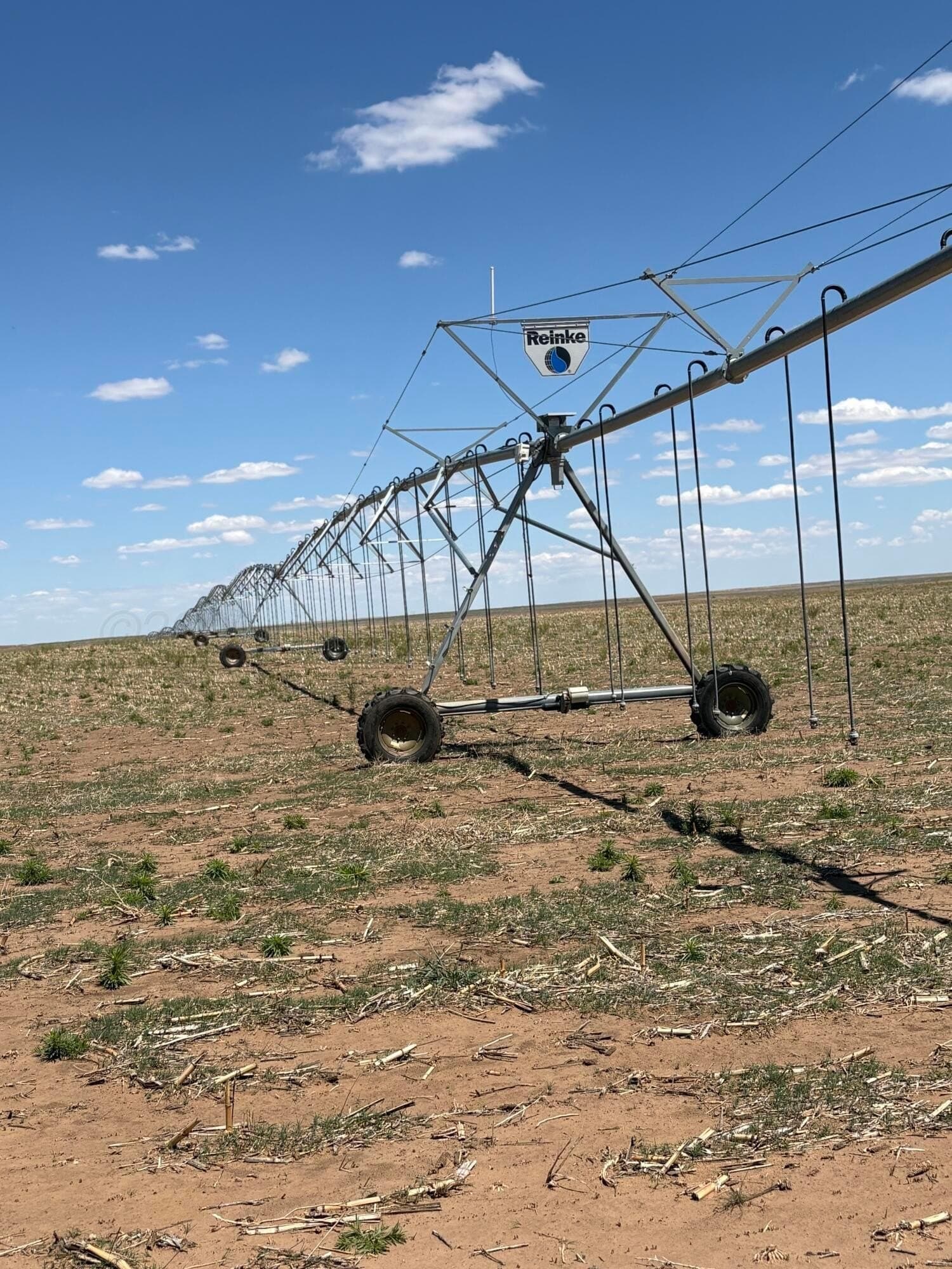 3,200 acres in Dallam County featured view