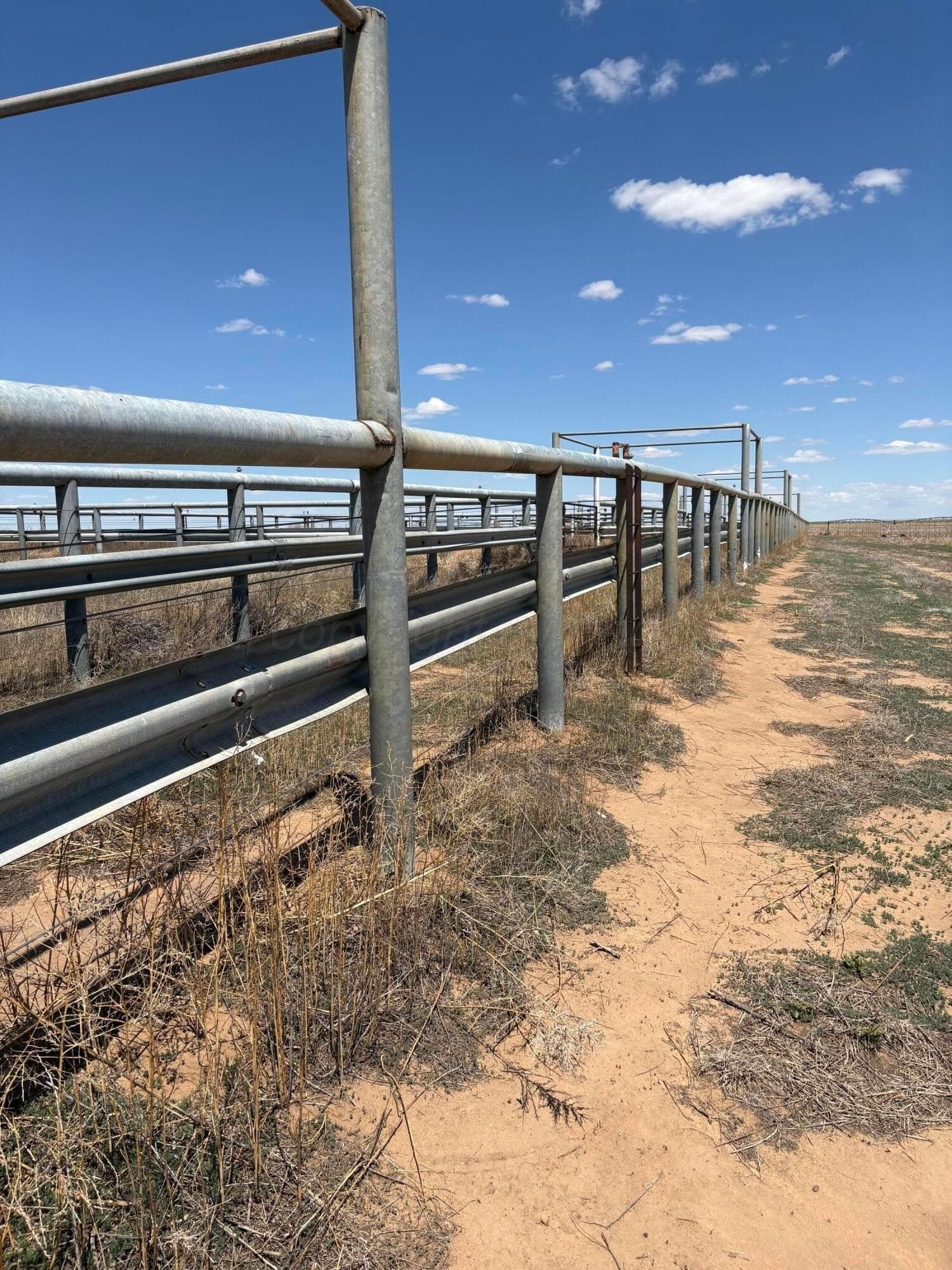 3,200 acres in Dallam County gallery image 4