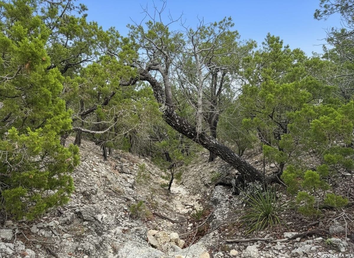 15.71 acres in Bandera County featured view