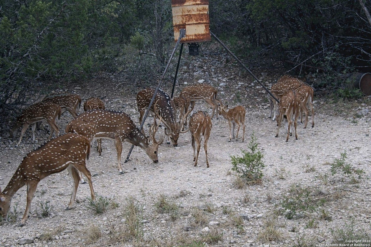 29.13 acres in Uvalde County