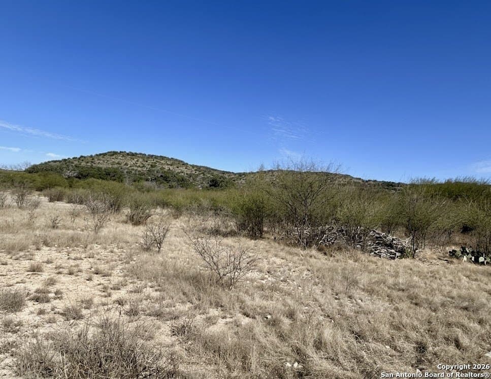 29.13 acres in Uvalde County gallery image 2