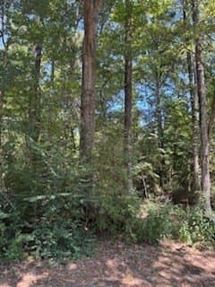 0.26 acres in Texas County gallery image 4