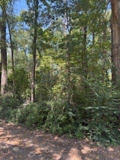 0.26 acres in Texas County featured view