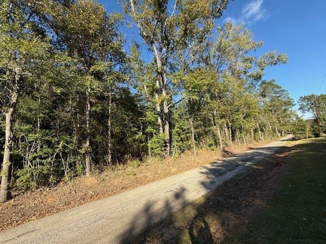 8.87 acres in Texas County - photo 6