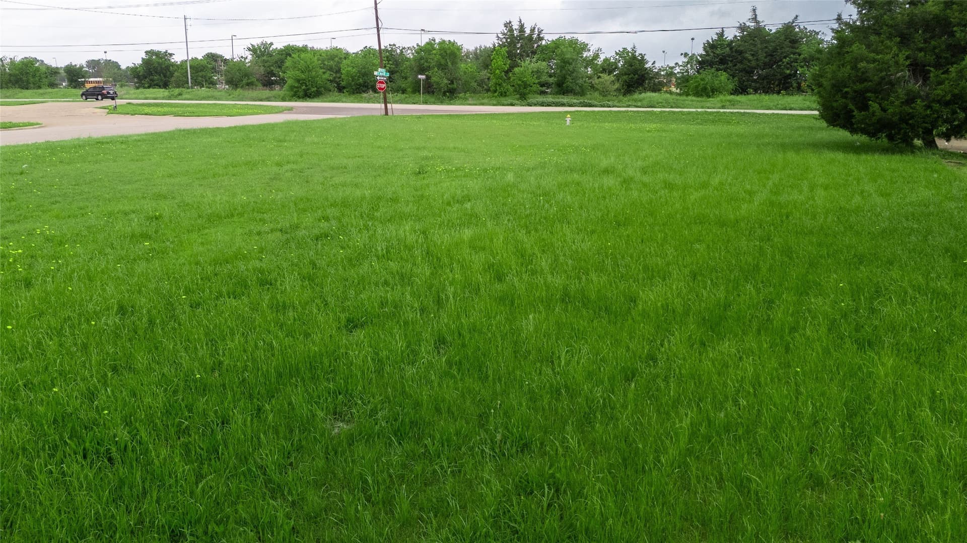 0.37 acres in Dallas County - photo 22