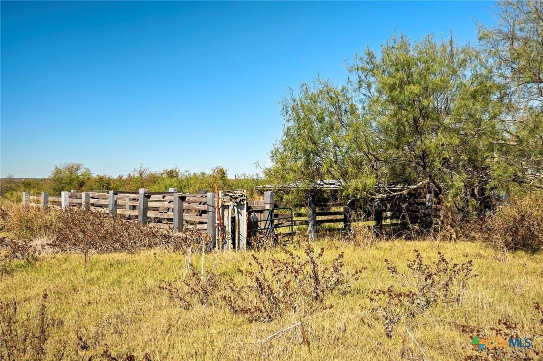 20 acres in Bell County gallery image 2