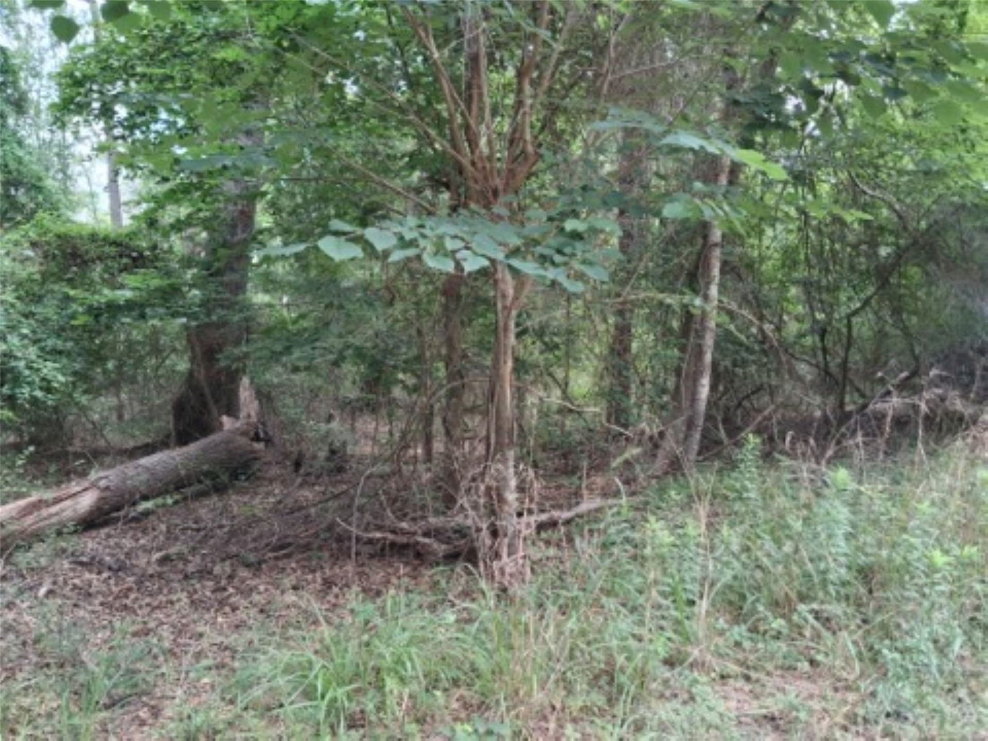 0.88 acres in Van Zandt County