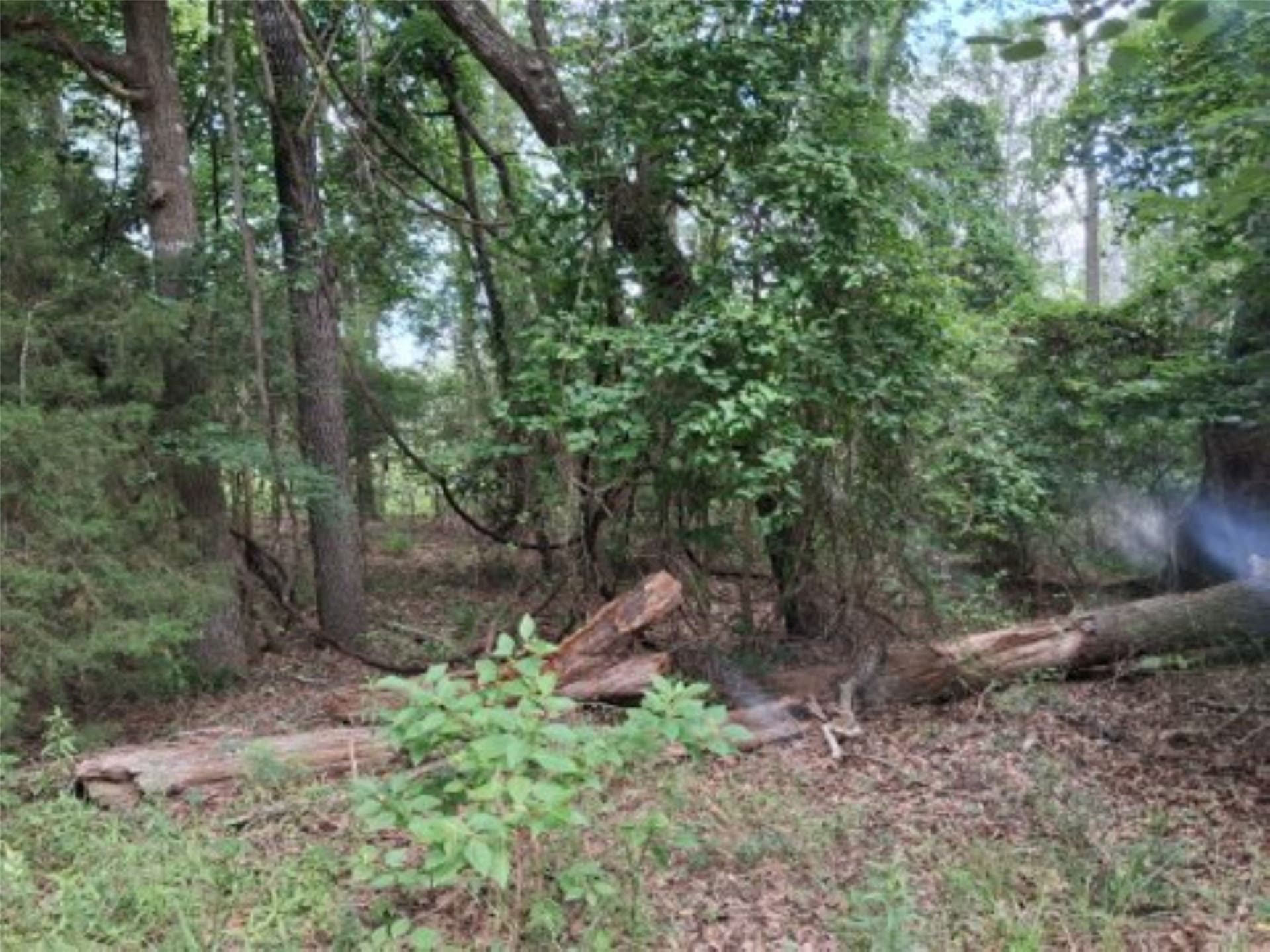 0.88 acres in Van Zandt County - photo 6