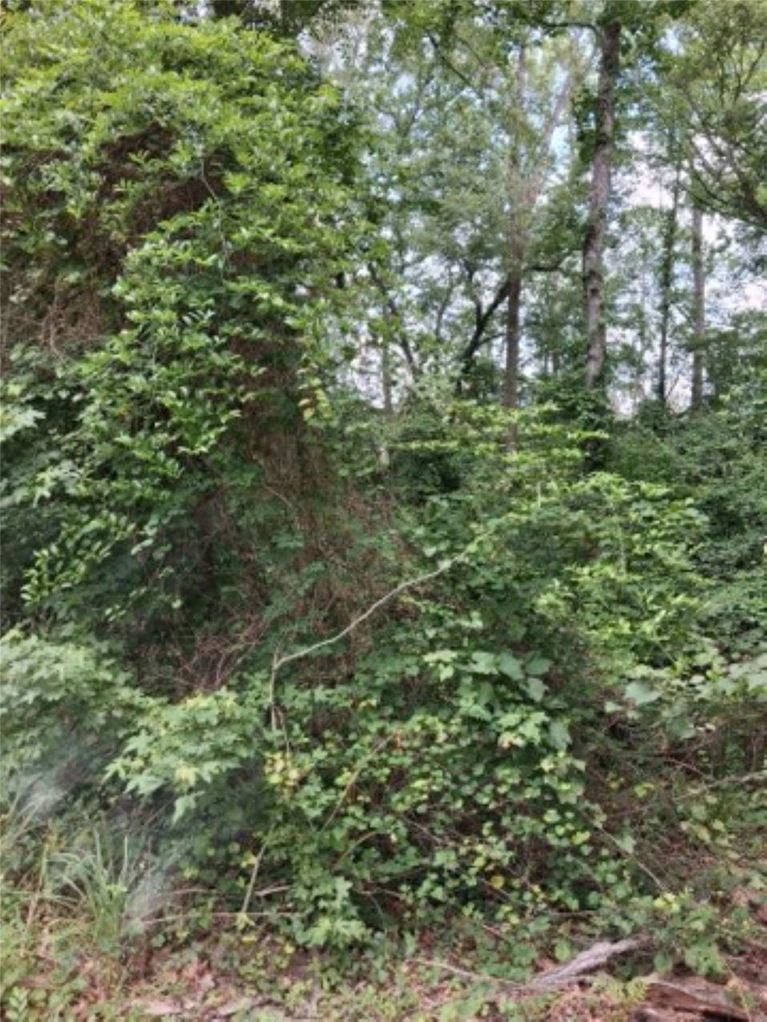 0.88 acres in Van Zandt County featured view