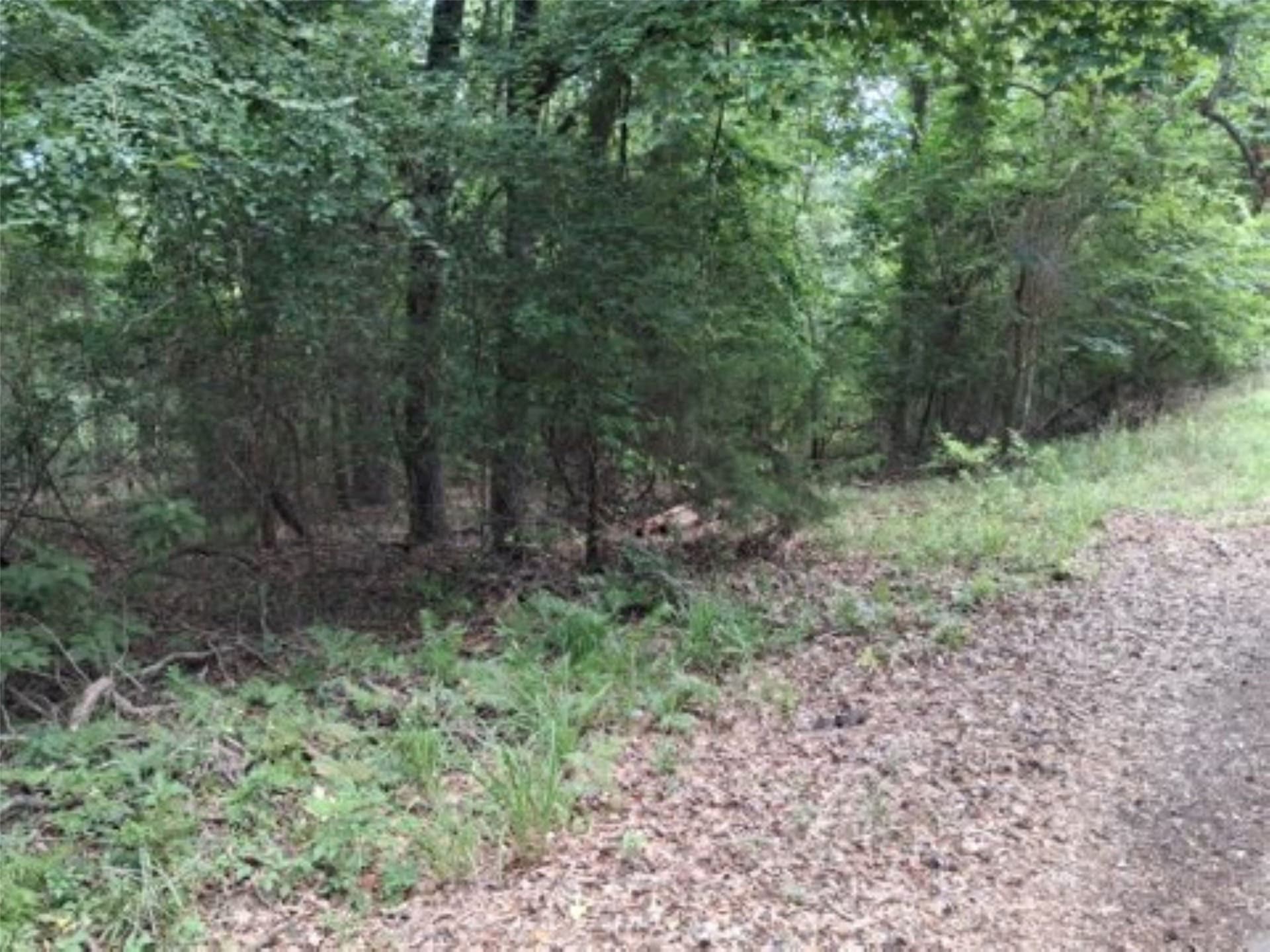 0.88 acres in Van Zandt County - photo 8