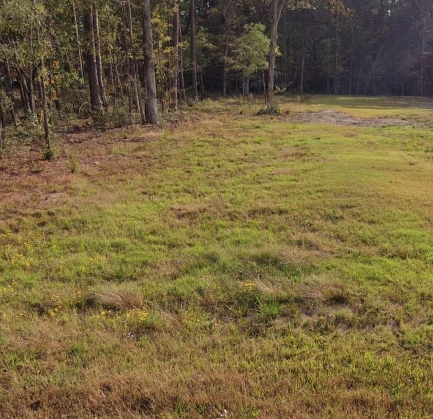 0.75 acres in Texas County gallery image 2