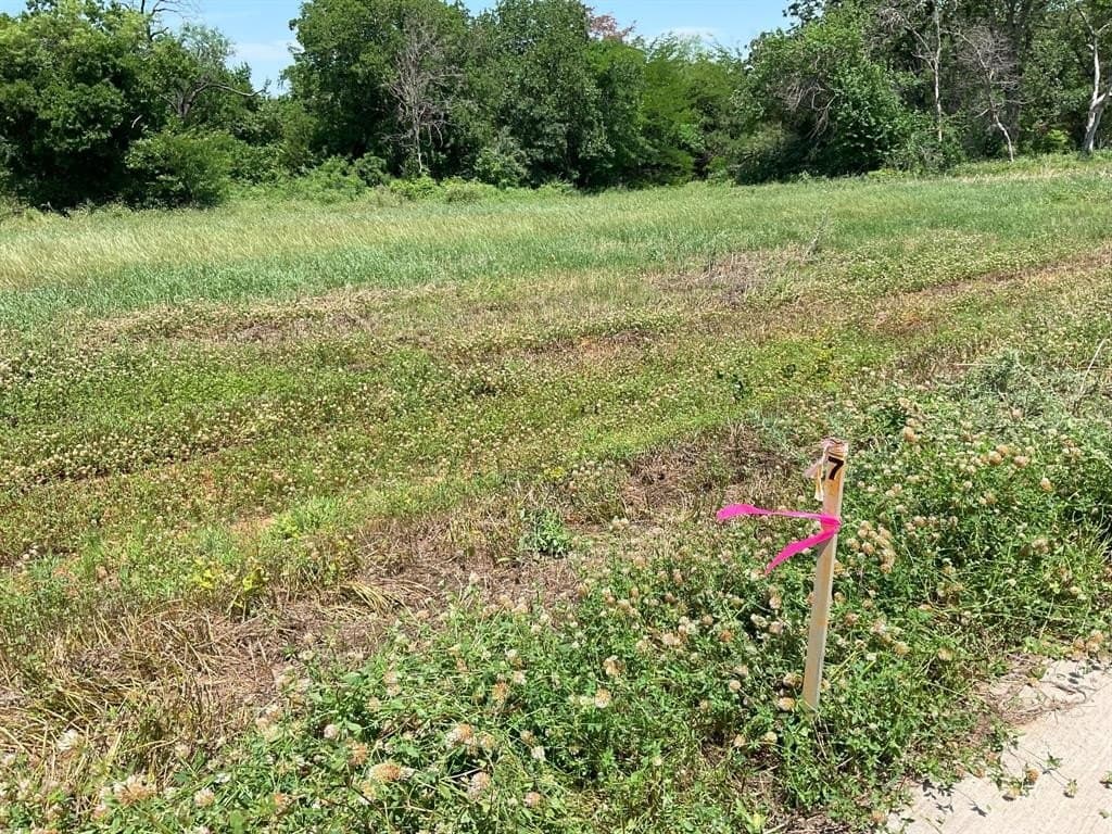 3.2 acres in Johnson County gallery image 4