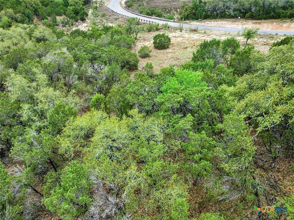 1.5 acres in Comal County - photo 8